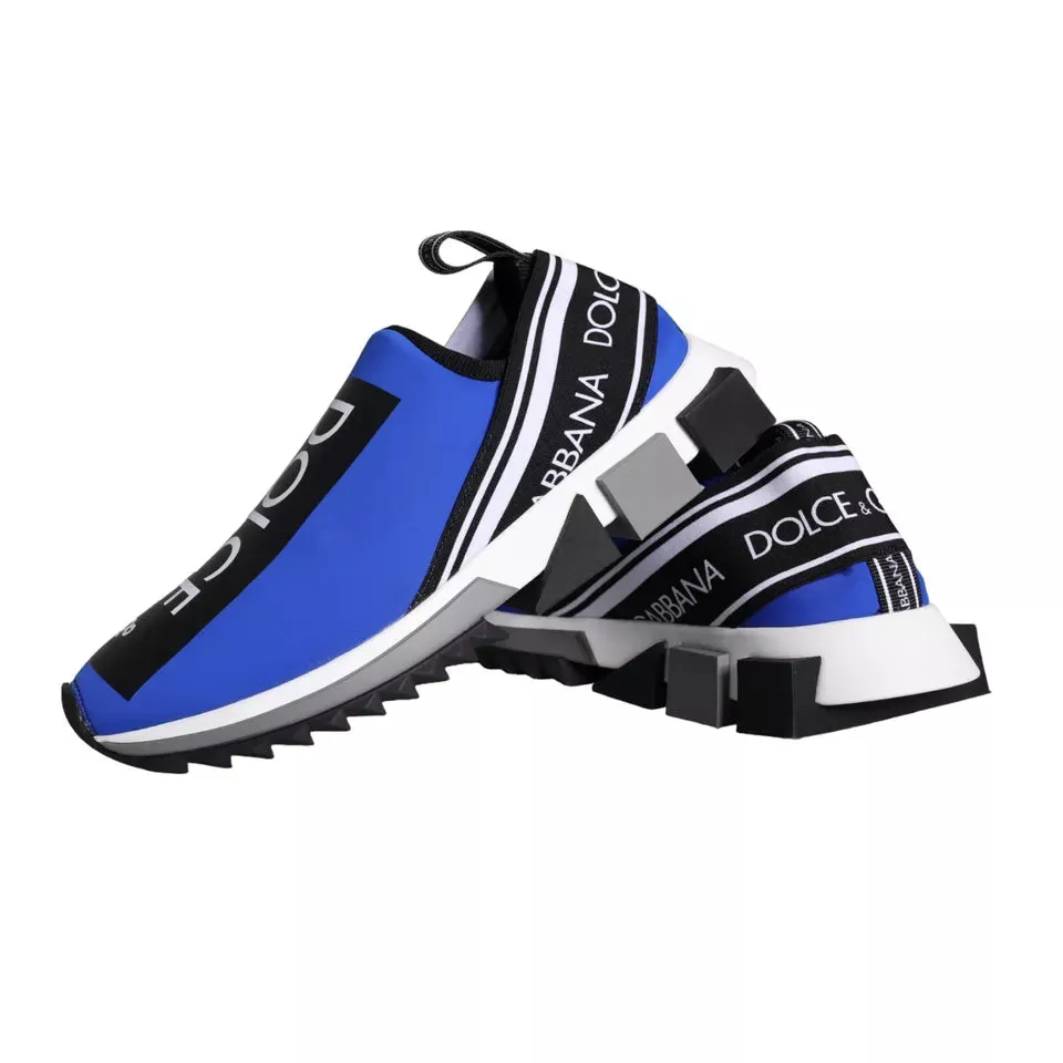 Dolce & Gabbana Blue Low Top Sorrento Sneakers