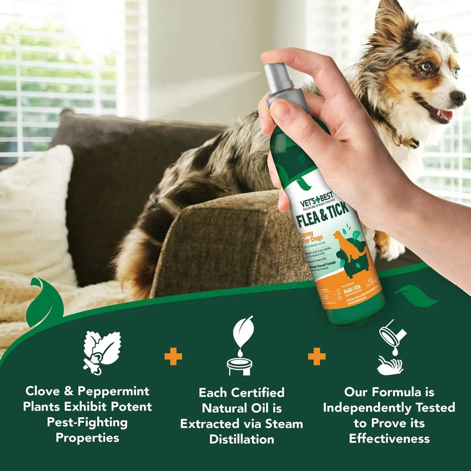 Flea   Tick Spray from Vet's Best