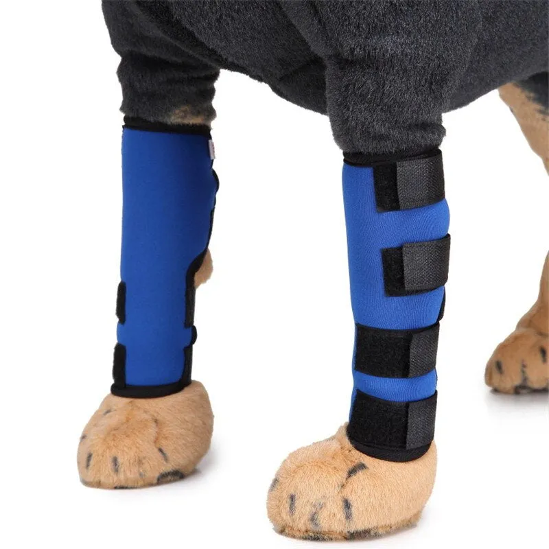 Pet Knee Pads For Dogs