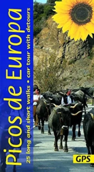 Picos de Europa